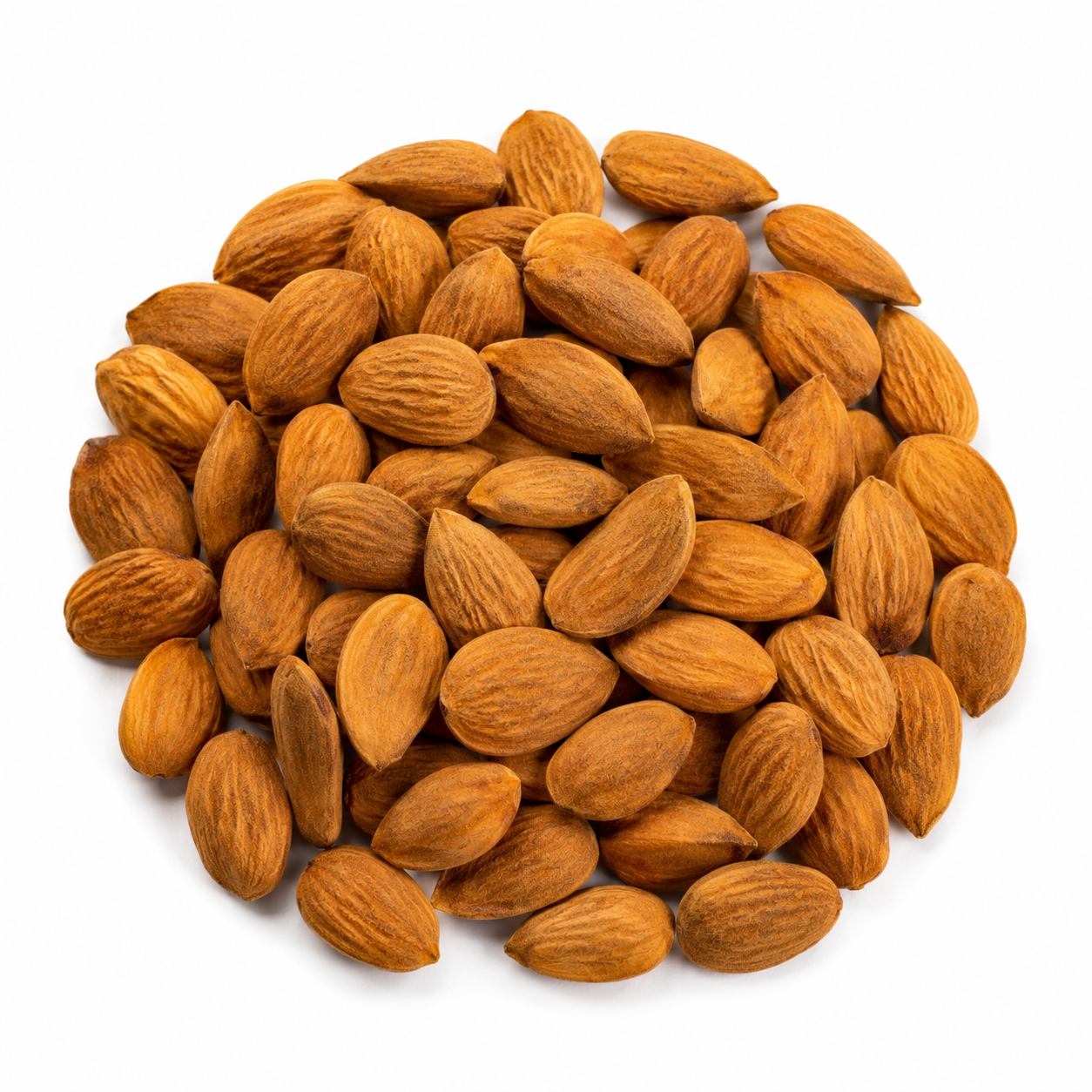 Apricot Kernel